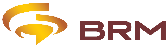 e-Learning BRMS Group